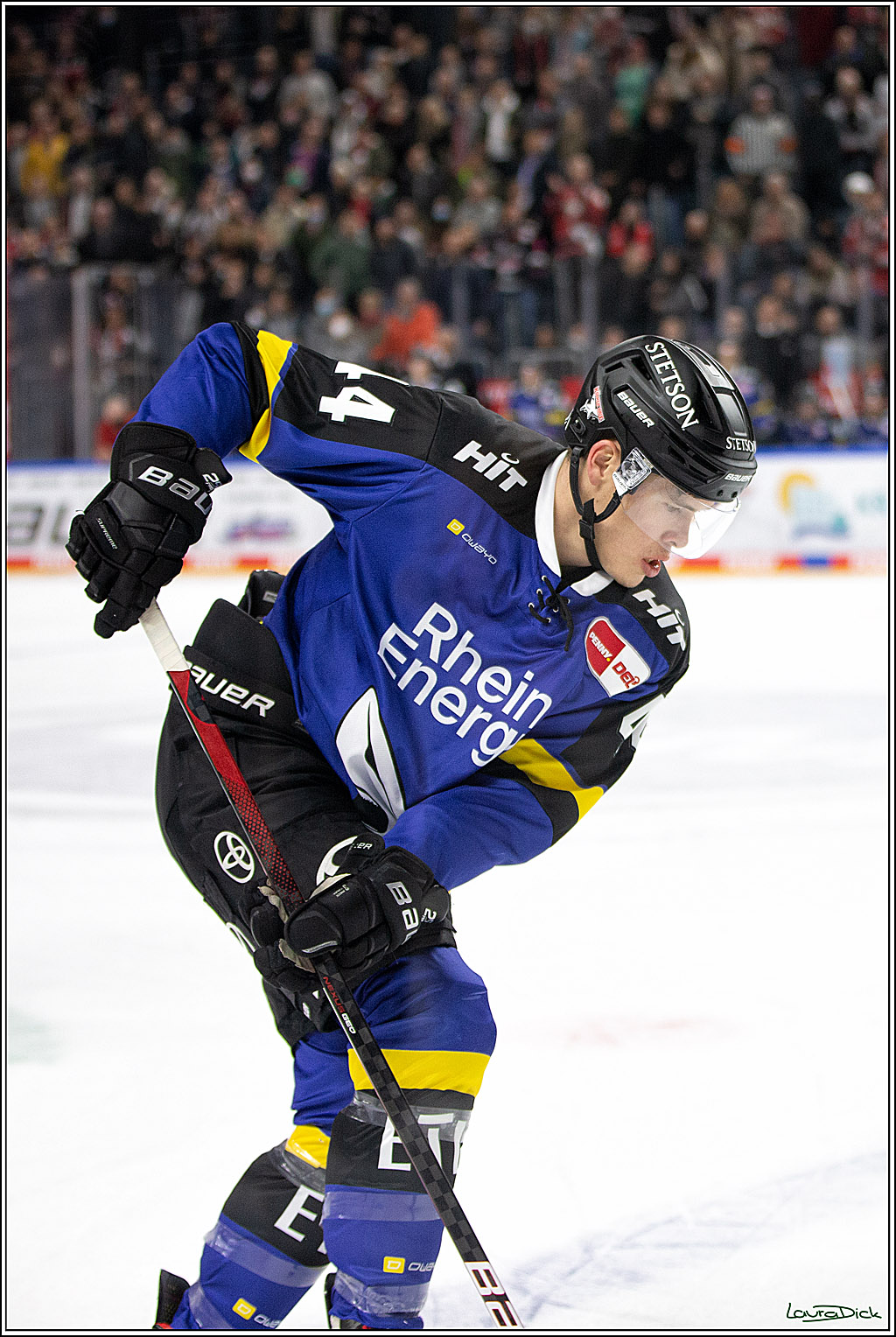 PENNY DEL; Koelner Haie- Fishtown Pinguins Bremerhaven; Koeln, 25.11.2021
